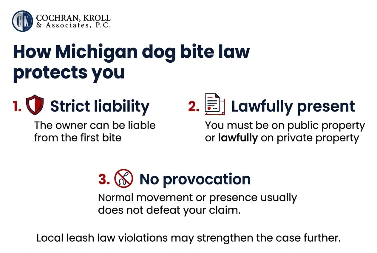 Why Do Ann Arbor Dog Bite Victims Need Legal Representation?